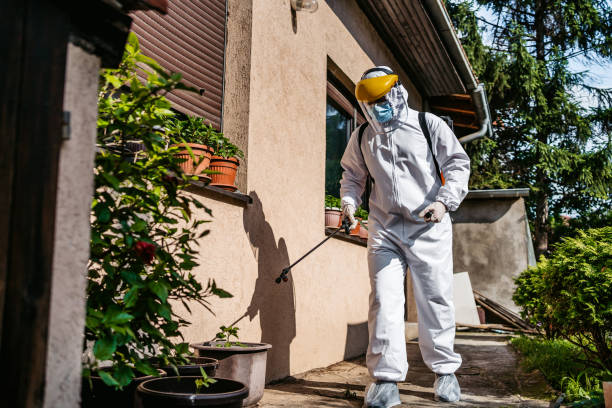 Wasp Removal Services in Homer, MI
