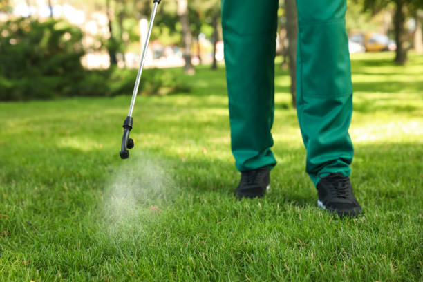 Best Termite Control Services  in Homer, MI