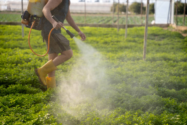 Best Affordable Pest Control Services  in Homer, MI