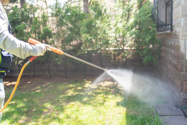 Best Pest Control for Restaurants  in Homer, MI