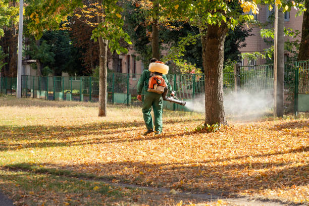 Best Cockroach Control Services  in Homer, MI