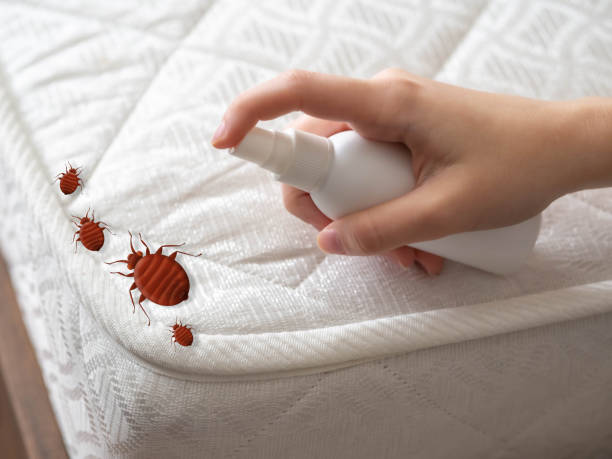 Best Insect Control  in Homer, MI