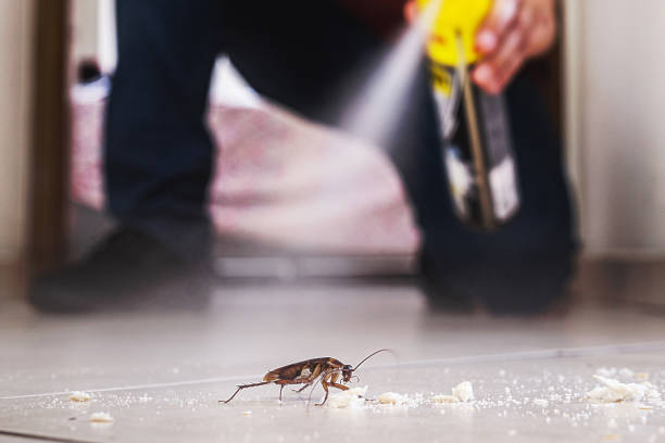 Best Bed Bug Extermination  in Homer, MI