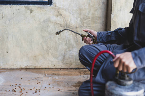 Best Pest Control Cost  in Homer, MI